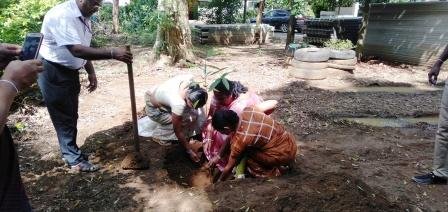 Tree planting program implemented in the office premises